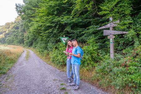 Zwei Wanderer betrachten eine Karte auf einem Waldweg, umgeben von üppigem Grün und Wegweiser.