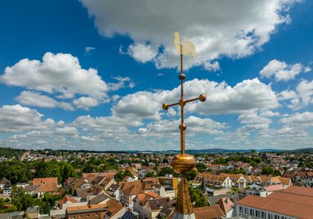 Ein Wetterhahn thront hoch über einer Altstadt, umgeben von roten Dächern und grünen Hügeln.