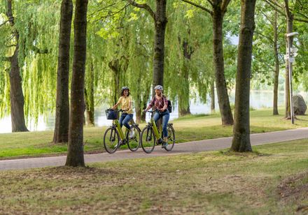Radfahrer auf Weserradweg, an den Seiten des Weges Bäumen