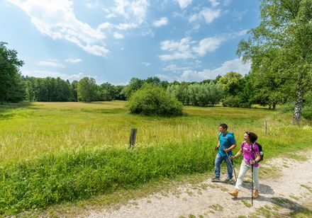 Zwei Wanderer auf einem Naturpfad durch eine weite, grüne Landschaft unter blauem, bewölktem Himmel.