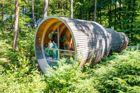 Auf dem Bild ist ein modernes, rundes Holzhaus im dichten Wald mit Glasfront zu sehen.