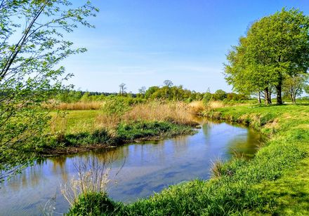 Dahlke Auen Naturlandschaft