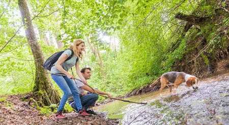 <p>Ein Paar und ihr Hund spielen im Wald an einem kleinen Bach. Alle genießen die Natur.</p>