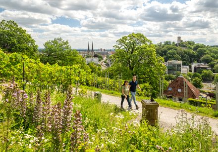 Wanderer auf dem Johannisberg in Bielefeld