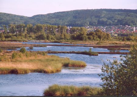 Seenlandschaft in Hille, Foto: Gemeinde Hille