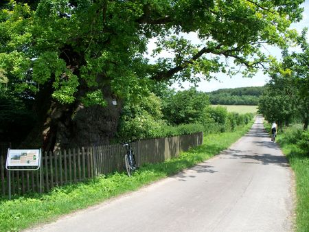 Die Eggeroute in Willebadessen - Foto: Stadt Willebadessen 
