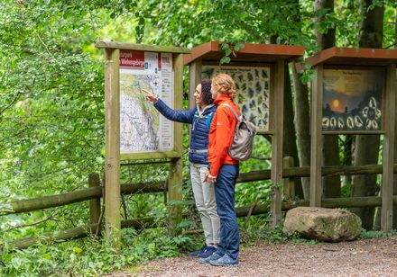 Zwei Personen studieren eine informativen Karte im grünen, waldreichen Umfeld eines Naturparks.