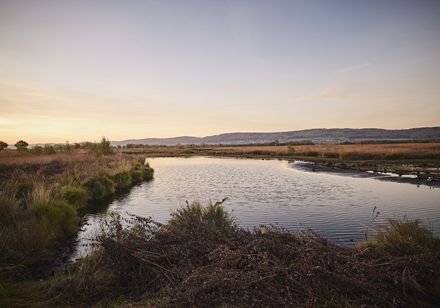 Naturnahe, ruhige Seenlandschaft mit sanften Hügeln und herbstlichem Himmel im Hintergrund.