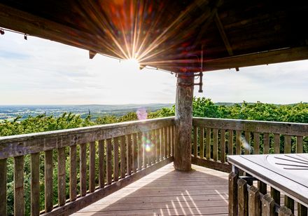 Ausblick vom Luisenturm