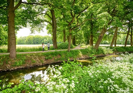 Paar spaziert durch grüne Natur an Gräfte in Herzebrock-Clarholz