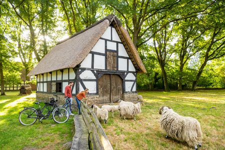 Fachwerkhaus im Grünen, zwei Personen füttern Schafe; Fahrräder lehnen am Zaun.