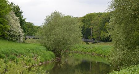 Ein ruhiger Fluss, umgeben von üppigem Grün und einer Brücke im Hintergrund, spiegelt natürliche Schönheit wider.