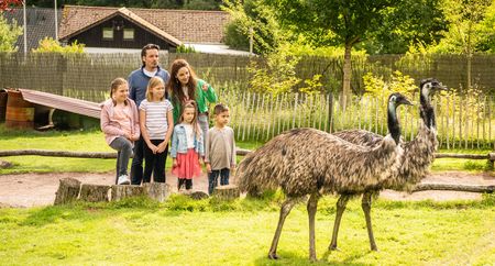 Ausflugsziel mit Kindern: Vogelpark Heiligenkirchen