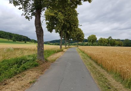 Blick auf einen Radweg, der nach Alhausen führt
