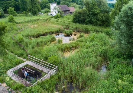 Moortretbecken Horn-Bad Meinberg von Oben