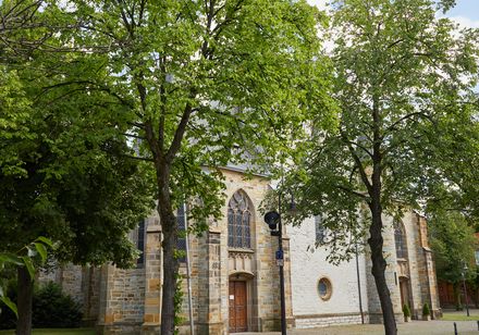 Eine majestätische Kirche mit hohem Turm, flankiert von üppig grünen Bäumen und gepflastertem Weg.