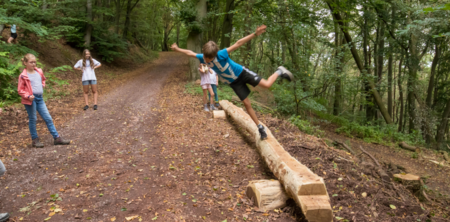 Lernen und Erleben auf dem Wald-Abenteuer-Pfad Station 7 Gleichgewicht