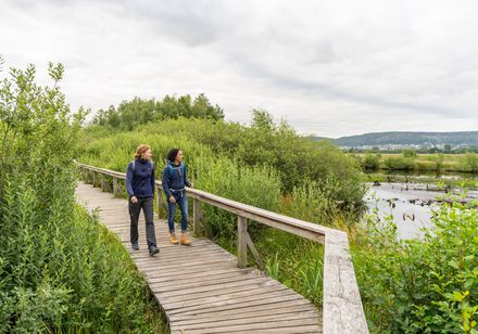 Zwei Frauen spazieren auf einem hölzernen Steg durch das Torfmoor unter bewölktem Himmel.
