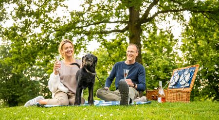 Ein Paar sitzt mit einem schwarzen Hund auf einer Decke im Park und trinkt Sekt aus Gläsern.