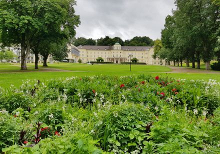 Blick auf die Klinik Bad Hermannsborn und den Park