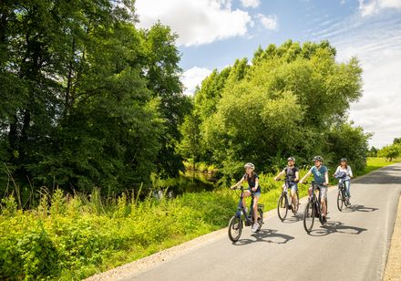 Vier Radfahrer fahren bei sonnigem Wetter auf einem Weg entlang grüner Bäume und eines Flusses.