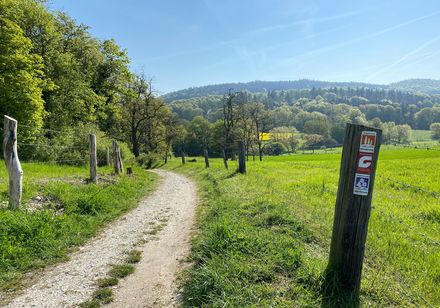Ein idyllischer Wanderweg durch grünes, von Bäumen gesäumtes Hügelland bei sonnigem Wetter.