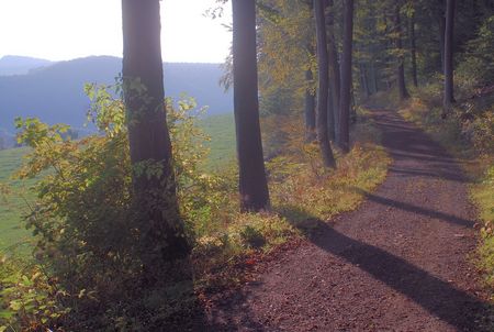 Sachsenring in Bad Driburg