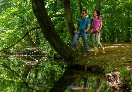 Ein Paar wandert entlang eines Waldsees; die Bäume spiegeln sich im klaren Wasser wider.