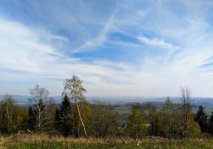Blick beim Wandern Teutoburger Wald. Foto: T.Valentien