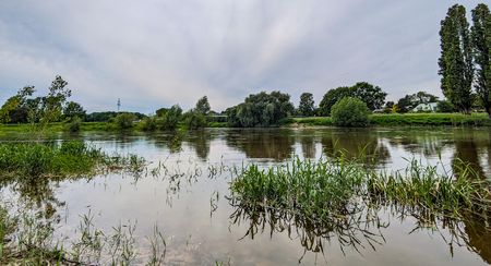 Flusslandschaft in Bad Oeynhausen, wo Weser und Werre sich treffen, umgeben von üppigem Grün.