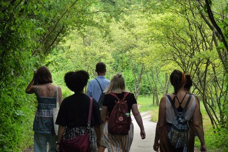 Gruppe geht auf Weg zwischen Bäumen
