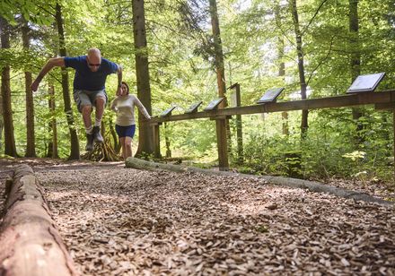 Ein Mann und eine Frau auf einem balancierbaren Holzsteg im dichten grünen Wald, umgeben von Bäumen.