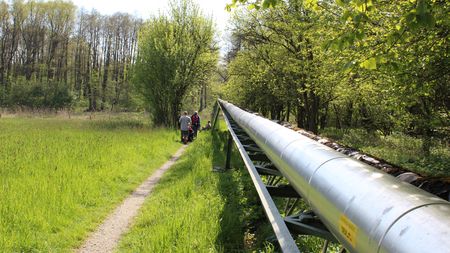 Moorpipeline, Foto: GesUndTourismus Horn-Bad Meinberg GmbH