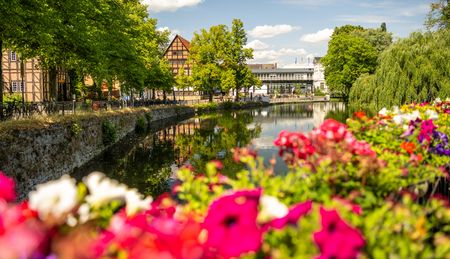 Bunte Blumen im Vordergrund rahmen einen idyllischen Fluss in Detmold ein, gesäumt von Bäumen.