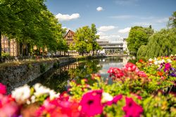 Lippisches Landesmuseum, im Vordergrund weiße und pinke Blumen