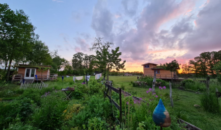 Gartenlandschaft bei Sonnenuntergang mit Vogelhäusern, blühenden Pflanzen und einem Wäscheleinenspann.