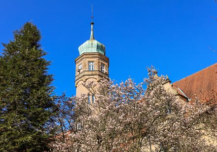 Ulenburg Löhne mit Magnolienblüte