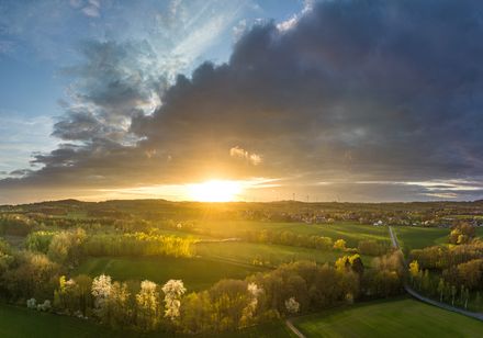 Sonnenuntergang über einer weitläufigen, grünen Landschaft mit blühenden Bäumen und Wolkenhimmel.