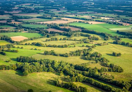 Luftaufnahme grüne Natur und Felder in Versmold