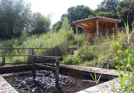 Meinberger Moor, Foto: GesUndTourismus Horn-Bad Meinberg GmbH