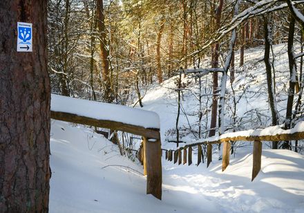 Winterliche Emsquelle in Schloß Holte-Stukenbrock