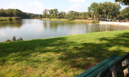 Grüne Wiese mit Parkbank am Ufer eines Sees, umgeben von Bäumen unter blauem Himmel.