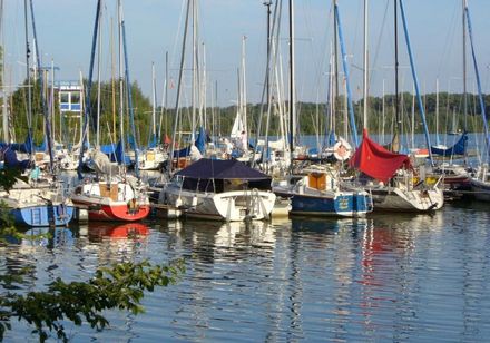 Zahlreiche Segelboote liegen nebeneinander vertäut am Steg eines Sees an einem sonnigen Tag.