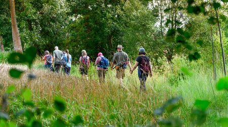 Wandergruppe in grüner Natur