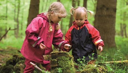 Zwei Kinder in Regenkleidung erforschen einen moosbedeckten Baumstamm im grünen Wald.