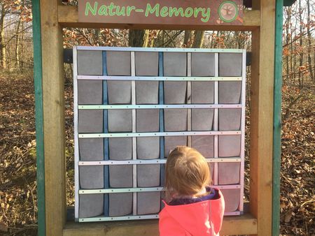 Memory am Naturerlebnispfad am Schildberg