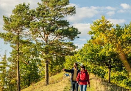 Zwei Personen spazieren auf einem schmalen Pfad durch eine von Bäumen gesäumte, sonnige Landschaft.