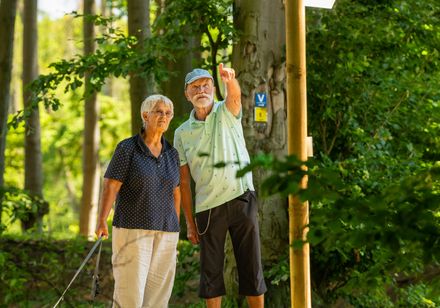 Ein älteres Paar zeigt auf ein Wanderwegschild in einem sonnigen Waldstück, ein Hund liegt daneben.