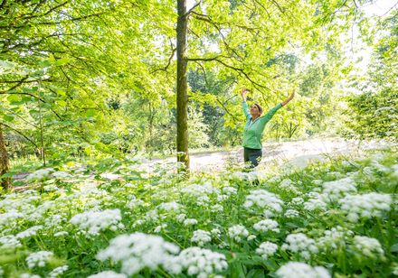 Frau streckt Arme in die Luft, im Vordergrund weiße Blumen auf Wiese