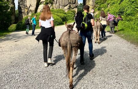 Menschen wandern mit Eseln auf einem Kiesweg, umgeben von beeindruckenden Felsformationen.